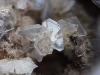 Kanada/Québec, Provinz/Montérégie, Region/La Vallée-du-Richelieu RCM/Mont Saint-Hilaire/Poudrette Quarry (Demix Quarry; Uni-Mix Quarry; Desourdy Quarry)