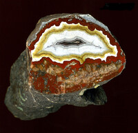 Deutschland/Rheinland-Pfalz/Südliche Weinstraße, Landkreis/Waldhambach/Steinbruch Kuhn