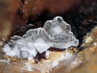 Frankreich/Auvergne-Rhône-Alpes, Région/Allier, Département/Montluçon, Arrondissement/Echassières/Les Montmins (Sainte Barbe filon)