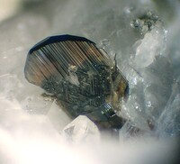 Österreich/Salzburg/Zell am See, Bezirk (Pinzgau)/Saalfelden am Steinernen Meer, Stadtgemeinde/Uttenhofen, Katastralgemeinde/Biberg