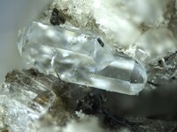 Deutschland/Rheinland-Pfalz/Mayen-Koblenz-Kreis/Mendig, Verbandsgemeinde/In den Dellen (Grube Zieglowski)