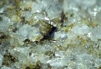 Italien/Emilia-Romagna, Region/Piacenza, Provinz/Trebbiatal (Val Trebbia)/Corte Brugnatella/Collegio