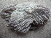 Deutschland/Sachsen/Erzgebirgskreis/Marienberg, Revier/Wolkenstein/Gehringswalde/Grube Palmbaum (Schacht 46)