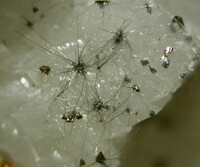 Niederlande/Limburg, Provinz/Brunssum/Hendrik-Emma-Halden