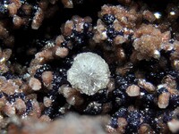 Mexiko/Durango, Estado/Mapimí, Municipio/Mapimí/Ojuela Mine