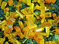 USA/Arizona/Pima County/Tucson Mts/Amole District/Saguaro National Monument/Old Yuma Mine