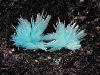 Deutschland/Niedersachsen/Goslar, Landkreis/Schulenberg im Oberharz/Oberschulenberg/Silberbach