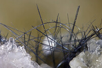 Deutschland/Nordrhein-Westfalen/Arnsberg, Bezirk/Hochsauerlandkreis/Bestwig/Ramsbeck/Grube Dörnberg/Grube Aurora