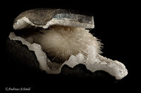 Indien/Maharashtra/Nashik (Nasik), Distrikt