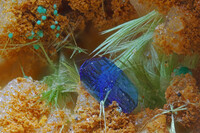 Deutschland/Baden-Württemberg/Freiburg, Bezirk/Ortenaukreis/Oberwolfach/Grube Clara