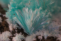 Griechenland/Attika (Attikí, Attica)/East Attica/Lavreotiki/Lavrion (Laurion), Bergbaudistrikt/Agios Konstantinos (Kamariza)/Kamariza Minen (Kamareza)/Hilarion Mine