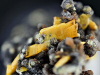 Deutschland/Sachsen/Erzgebirgskreis/Schneeberg, Lagerstätte/Neustädtel/Weißer Hirsch (Schacht 3)