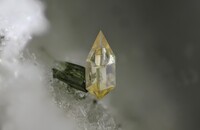 Deutschland/Rheinland-Pfalz/Mayen-Koblenz-Kreis/Mendig, Verbandsgemeinde/In den Dellen (Grube Zieglowski)