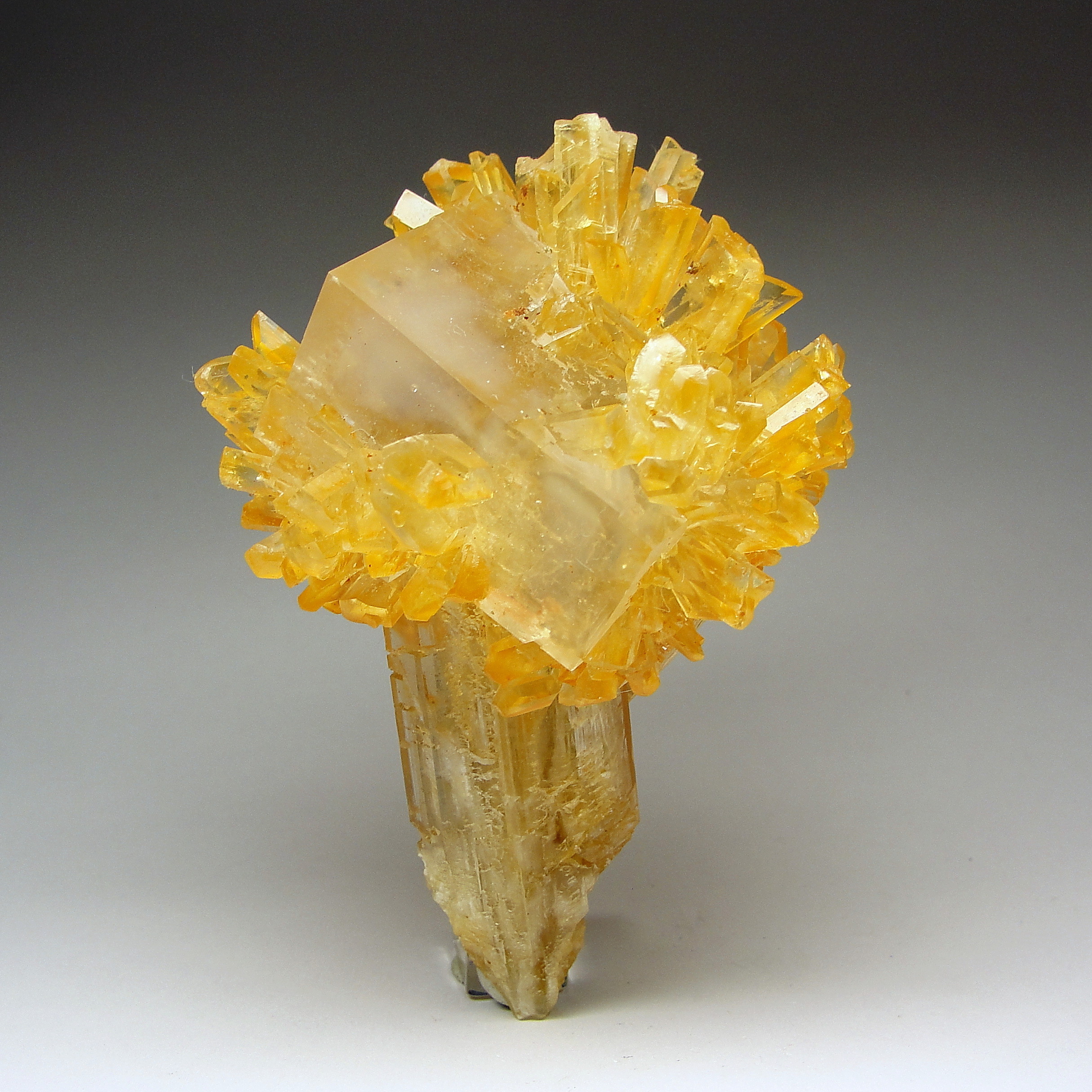 Gips xx mit Halit xx