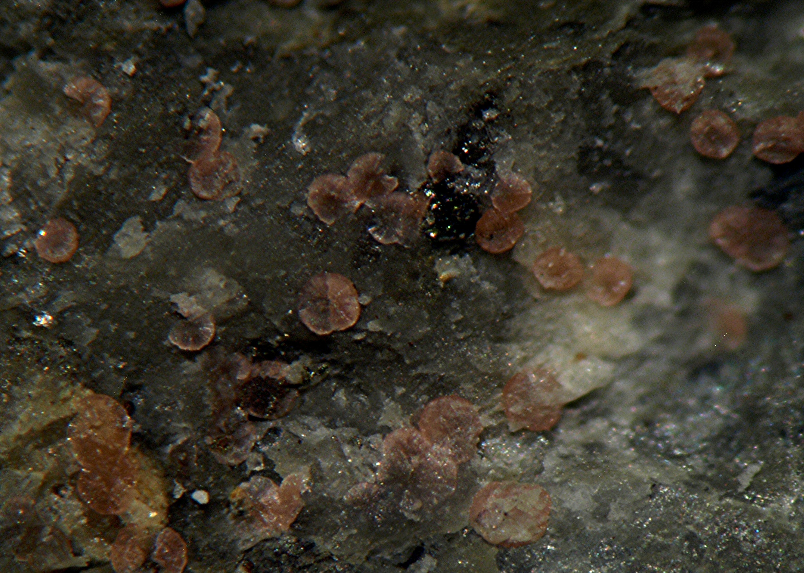 Annabergit- Erythrin