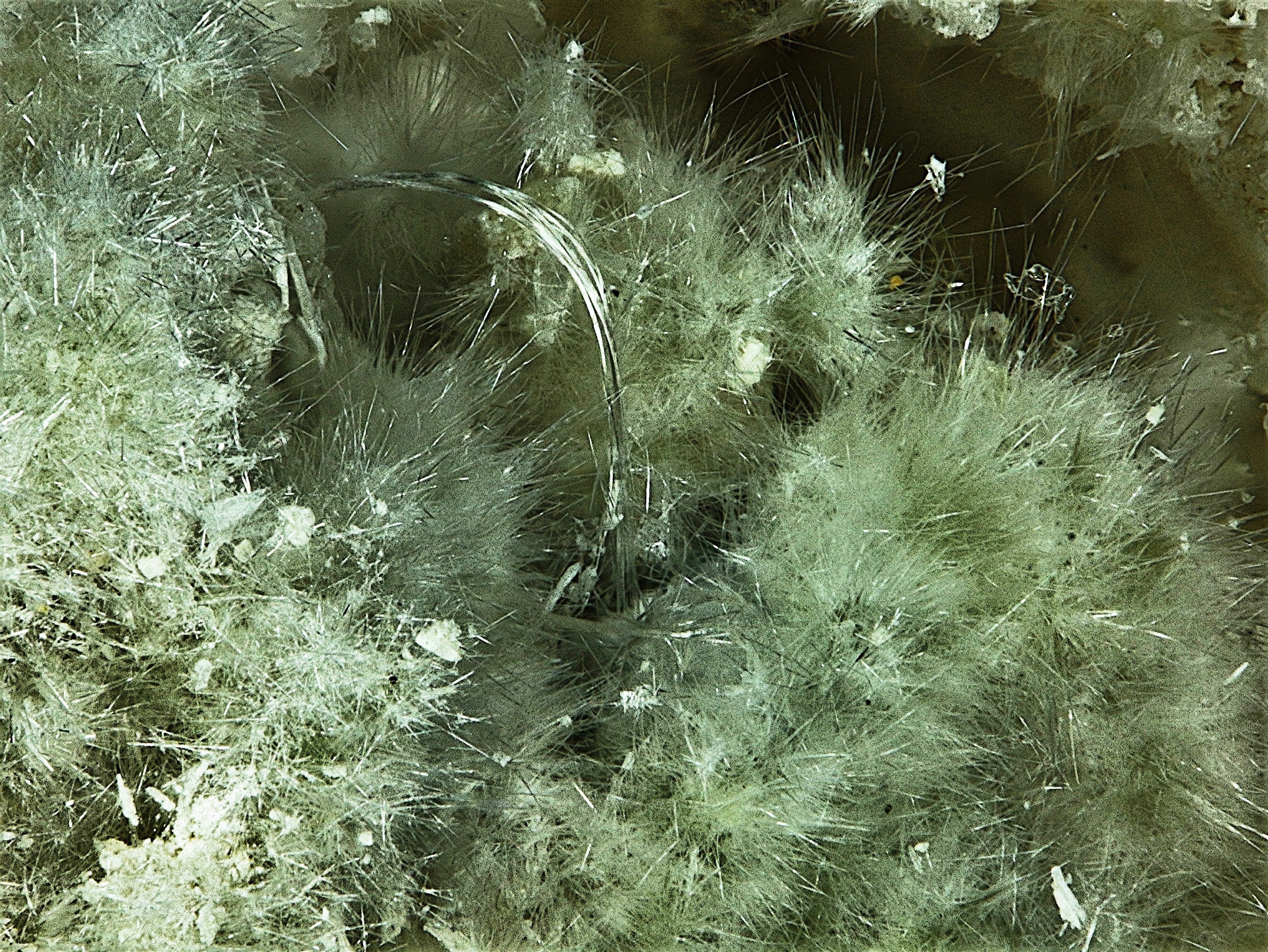 faseriger farblos-weißer Alunit