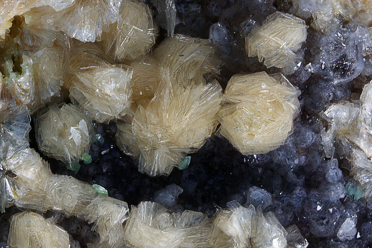 Mineral der Alunit Supergruppe xx