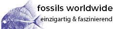 https://fossilsworldwide.de/