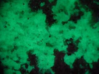 USA/Utah/San Juan County/Snyder Mine