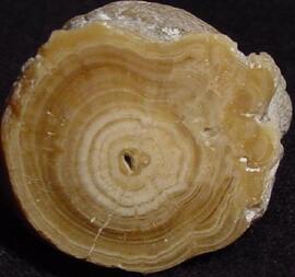 Deutschland/Bayern/Oberbayern, Bezirk/München, Landeshaupststadt