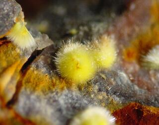 Deutschland/Baden-Württemberg/Freiburg, Bezirk/Waldshut, Landkreis/St. Blasien, Stadtgemeinde/Menzenschwand, Ortsteil