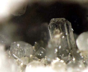 Deutschland/Niedersachsen/Goslar, Landkreis/Bad Harzburg/Radautal/Gabbrosteinbruch (Bärensteinbruch)