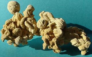 Deutschland/Hessen/Darmstadt, Bezirk/Wetteraukreis/Rockenberg/Sandgruben bei Rockenberg