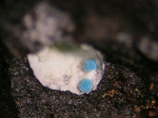 Deutschland/Niedersachsen/Goslar, Landkreis/Langelsheim/Astfeld/Juliushütte