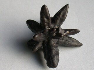 Ägypten/Al-Wadi al-dschadid, Gouvernement/Qasr el-Farafra (Qasr al Farafirah)/Weiße Wüste