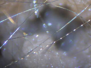 USA/Kentucky/Lincoln County/Halls Gap/US 27 Roadcut