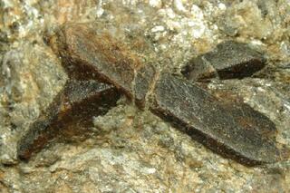 Frankreich/Bretagne, Région/Finistère, Département/Châteaulin, Arrondissement/Coray/Staurolithvorkommen