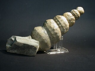 Deutschland/Nordrhein-Westfalen/Detmold, Bezirk/Gütersloh, Kreis/Halle (Westf.)