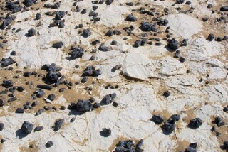 Ägypten/Al-Wadi al-dschadid, Gouvernement/Qasr el-Farafra (Qasr al Farafirah)/Weiße Wüste