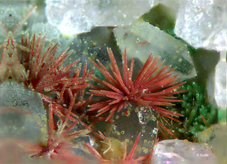 Griechenland/Attika (Attikí, Attica)/East Attica/Lavreotiki/Lavrion (Laurion), Bergbaudistrikt/Agios Konstantinos (Kamariza)/Mercati Minen/Christiana Mine