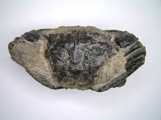 Deutschland/Sachsen/Leipzig, Landkreis/Espenhain