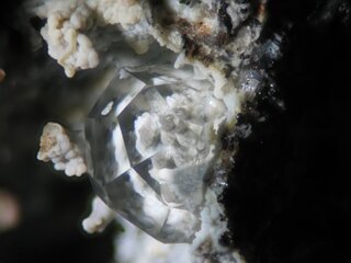 Spanien/Kanarische Inseln/Lanzarote