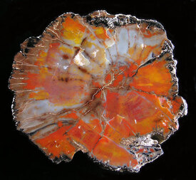 USA/Arizona/Apache County/Milky Wash