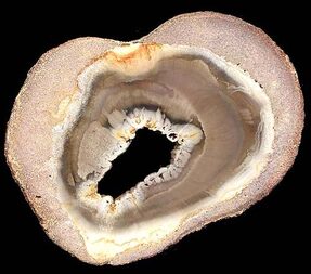 Brasilien/Norden (Região Norte)/Tocantins/Filadélfia, Municipio/Bielandia