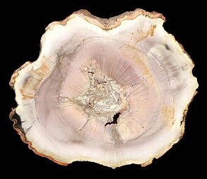 Brasilien/Norden (Região Norte)/Tocantins/Filadélfia, Municipio/Bielandia