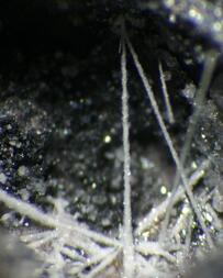 Deutschland/Rheinland-Pfalz/Mayen-Koblenz-Kreis/Maifeld, Verbandsgemeinde/Ochtendung/Wannenköpfe