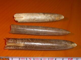 Niederlande/Limburg, Provinz/Eijsden-Margraten/Bemelen/t'Rooth