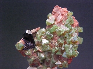 Namibia/Oshikoto (Otjikoto), Region/Tsumeb