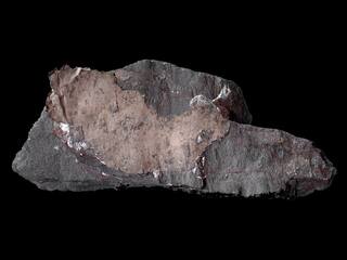 Deutschland/Sachsen-Anhalt/Mansfeld-Südharz, Landkreis/Lutherstadt Eisleben