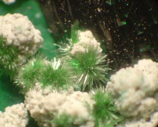 Chile/Atacama, Region (III. Region)/Copiapó, Provinz/Tierra Amarilla/Cerro Pintado/Mina La Farola