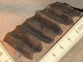 Deutschland/Nordrhein-Westfalen/Arnsberg, Bezirk/Ennepe-Ruhr-Kreis/Witten/Gedern/Steinbruch Rauen