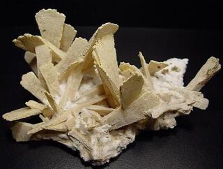 Brasilien/Süden (Região Sul)/Rio Grande do Sul