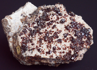 Deutschland/Sachsen/Mittelsachsen, Landkreis/Freiberg, Revier/Großschirma, Stadt