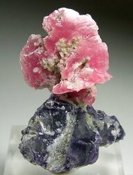 China/Guangxi Zhuang, Autonomes Gebiet/Wuzhou, Präfektur