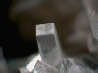 Deutschland/Rheinland-Pfalz/Mayen-Koblenz-Kreis/Maifeld, Verbandsgemeinde/Ochtendung/Wannenköpfe