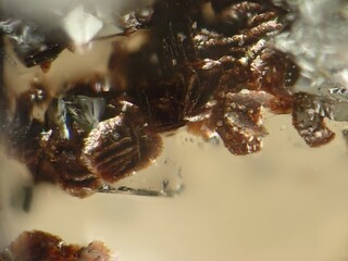 Schweiz/Wallis, Kanton/Goms, Bezirk/Binntal/Binn/Fäld (Imfeld, Im Feld)/Grube Lengenbach